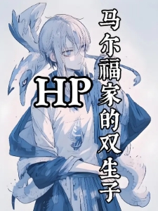 HP：马尔福家的双生子