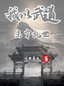 我以武道，击穿乱世